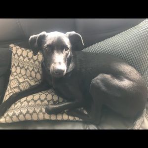 Meet your Posher, Maria